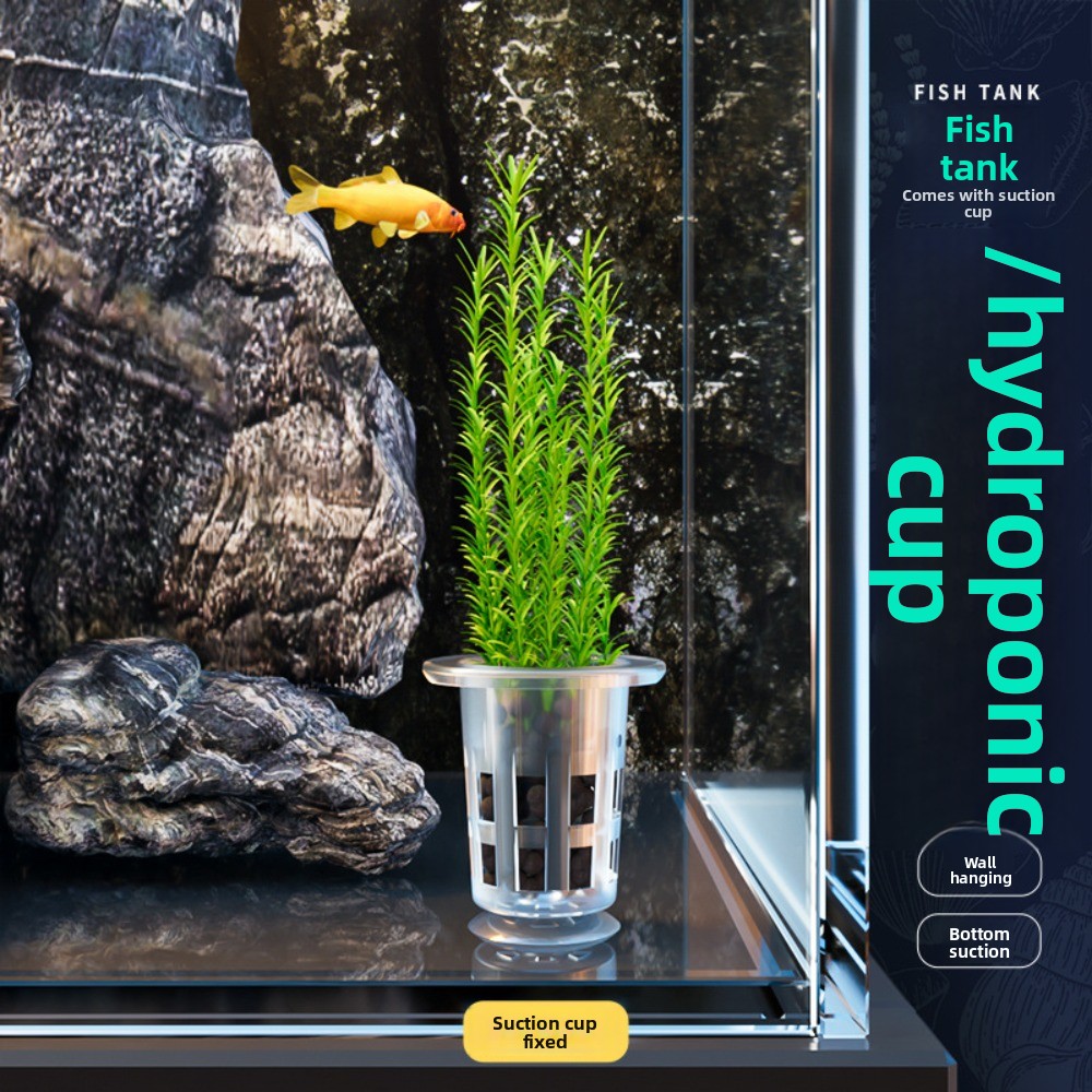 10Pcs Transparent Plant Hydrop - Aquarium Plants Live recension och pris
