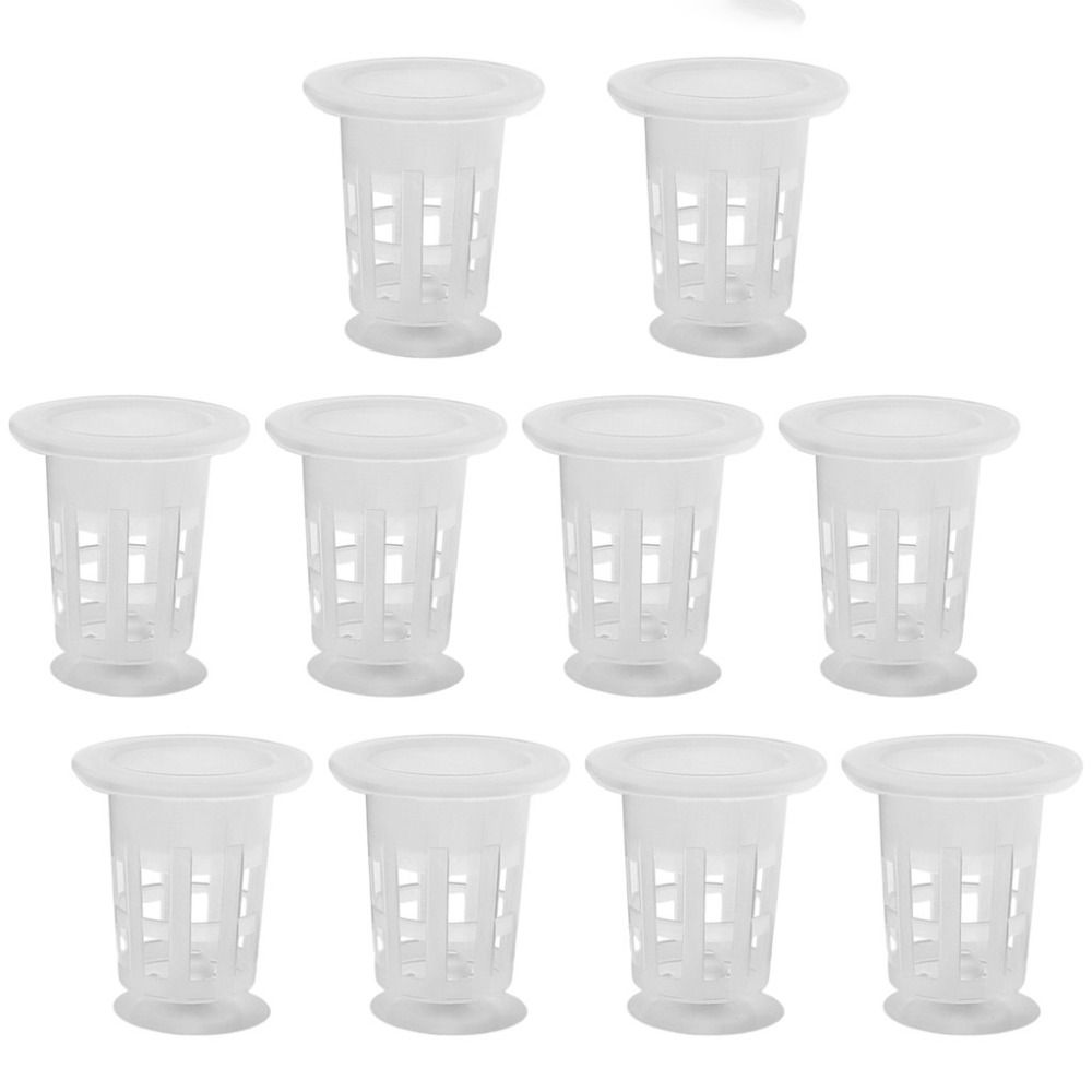 10Pcs Transparent Plant Hydrop - Aquarium Plants Live recension och pris