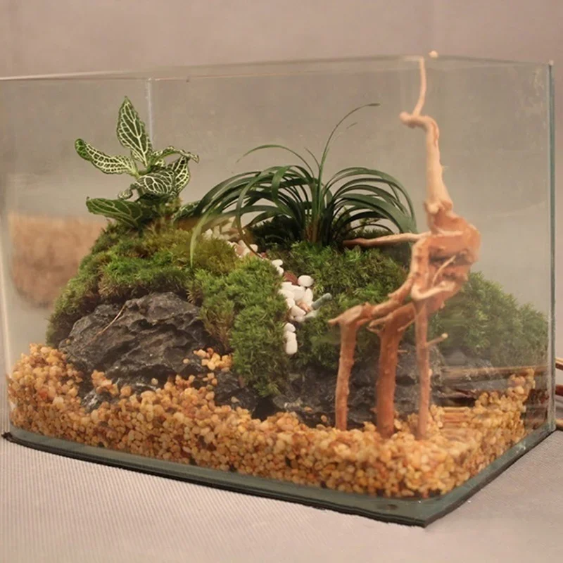 Natural Tree Trunk Driftwood A - Aquarium Plants Live recension och pris