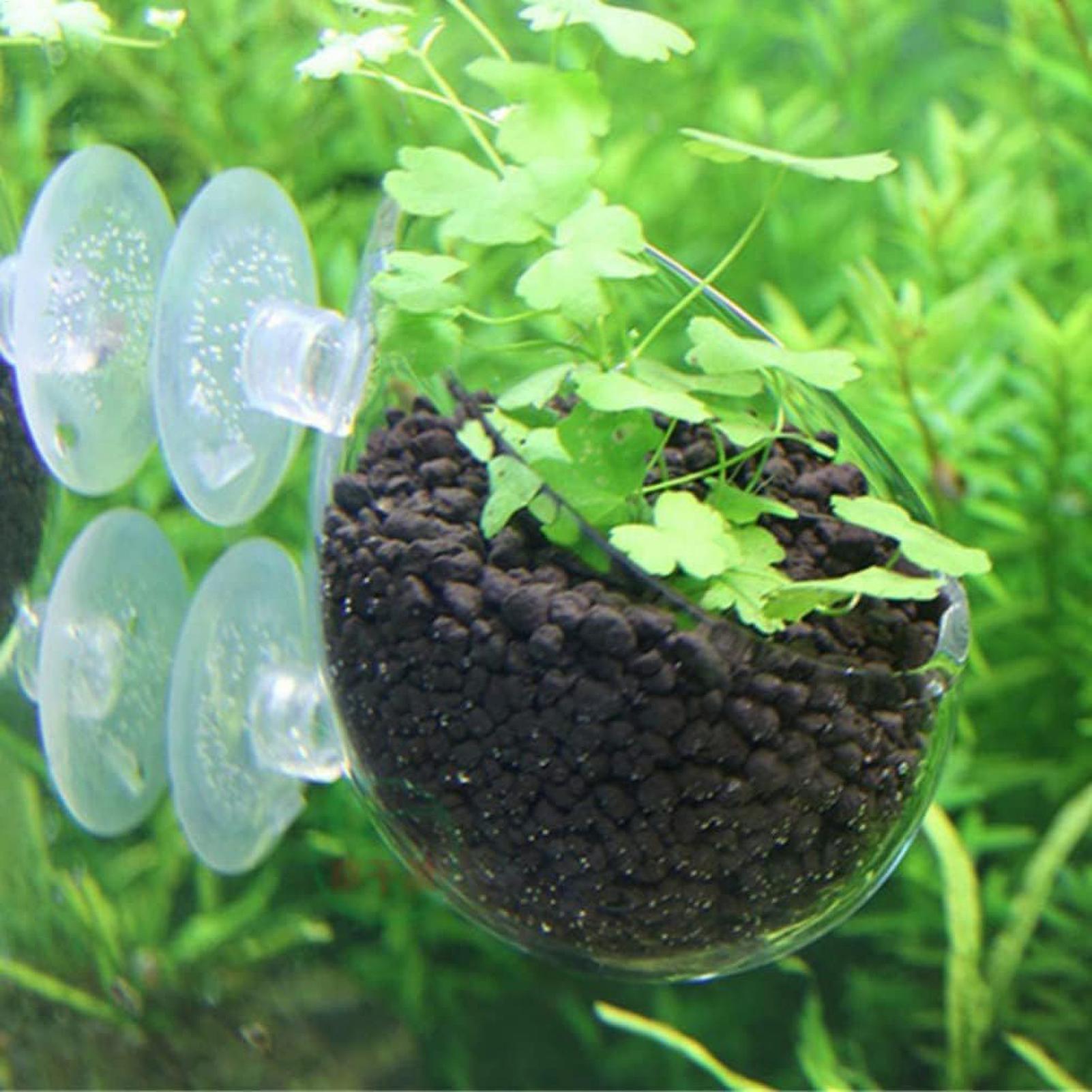 Aquarium Plant Holder Glass Aq - Aquarium Plants Live recension och pris