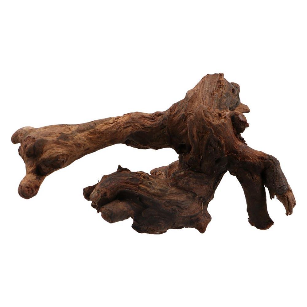 Creative Irregular Shape Coral - Aquarium Plants Live recension och pris