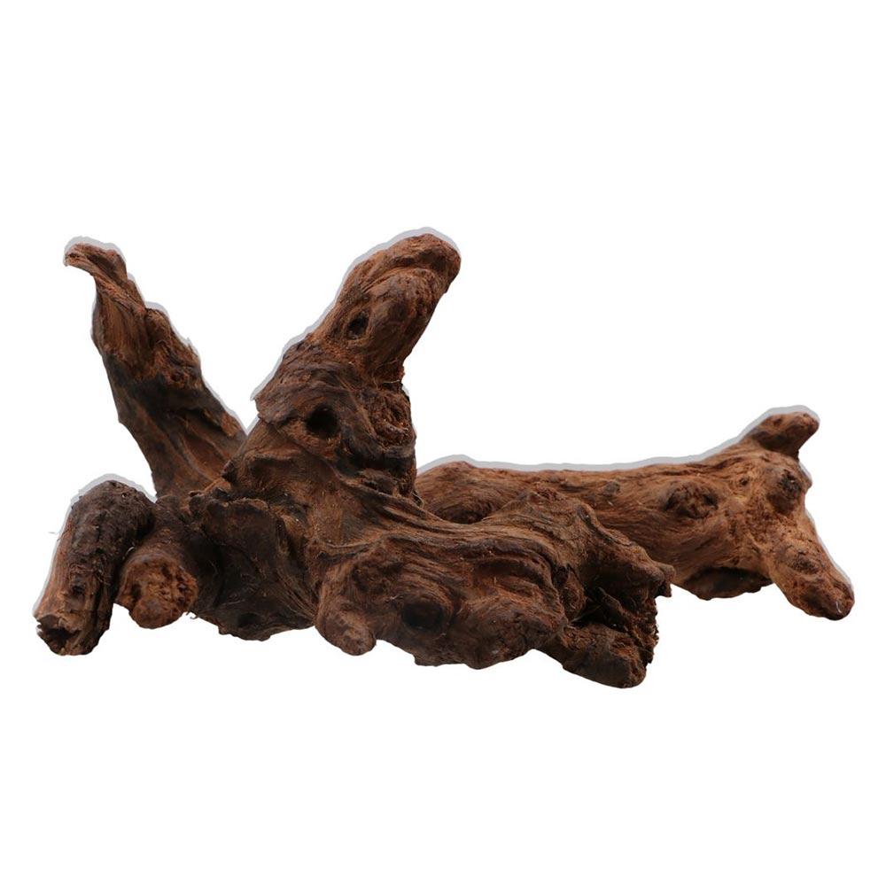Creative Irregular Shape Coral - Aquarium Plants Live recension och pris