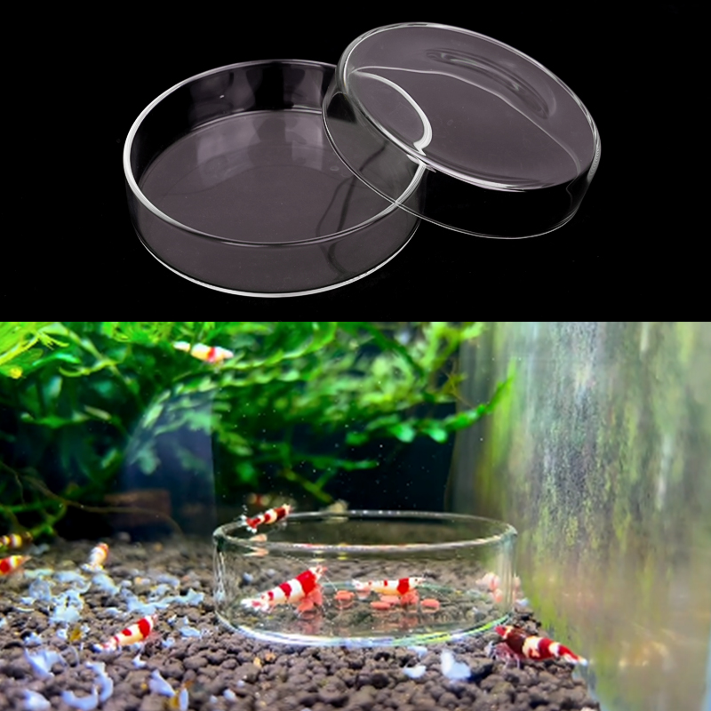 Shrimp Feeding Dish High Trans - Aquarium Fertilizer recension och pris