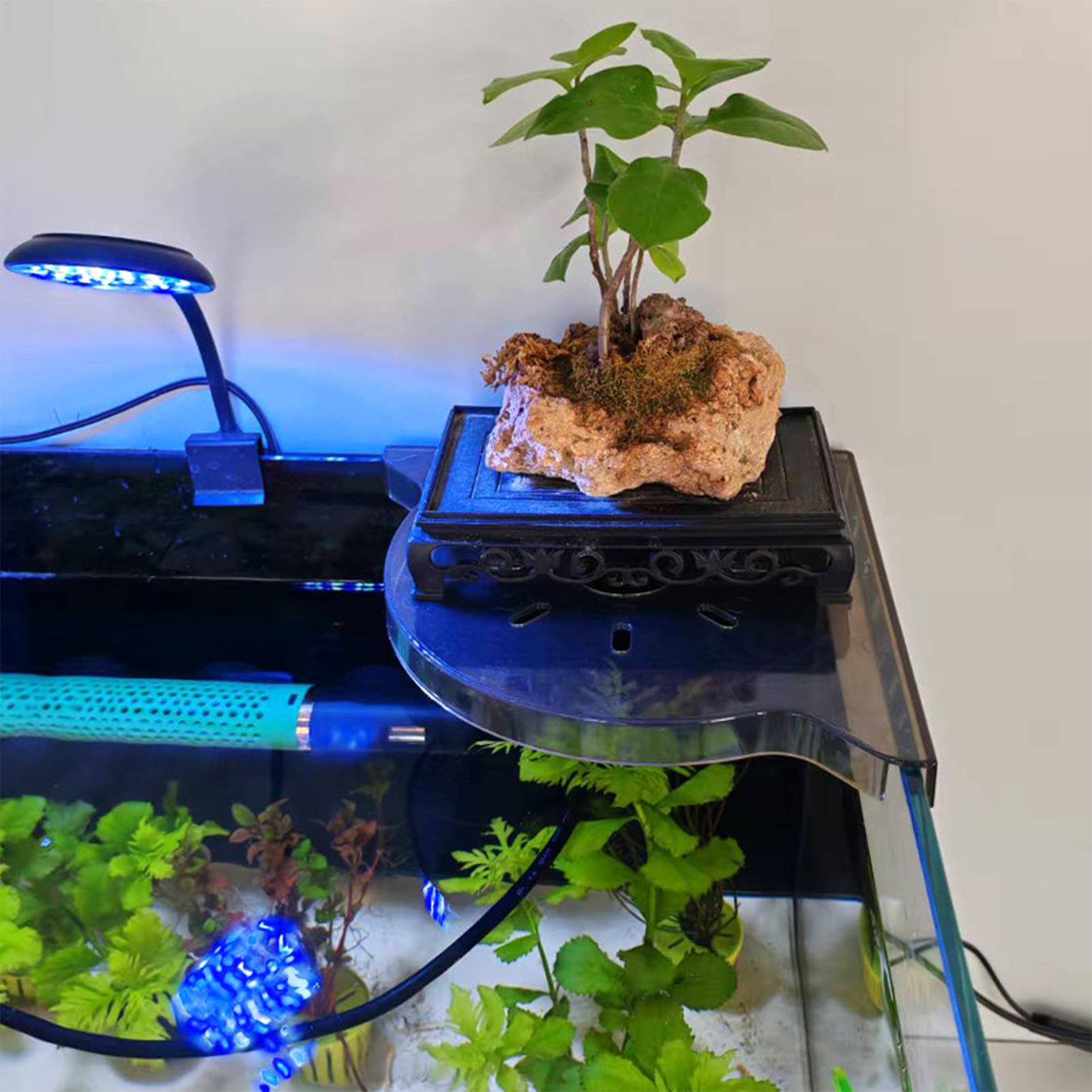 Triangle Fish Tank Corner Stor - Aquarium Plants Live recension och pris