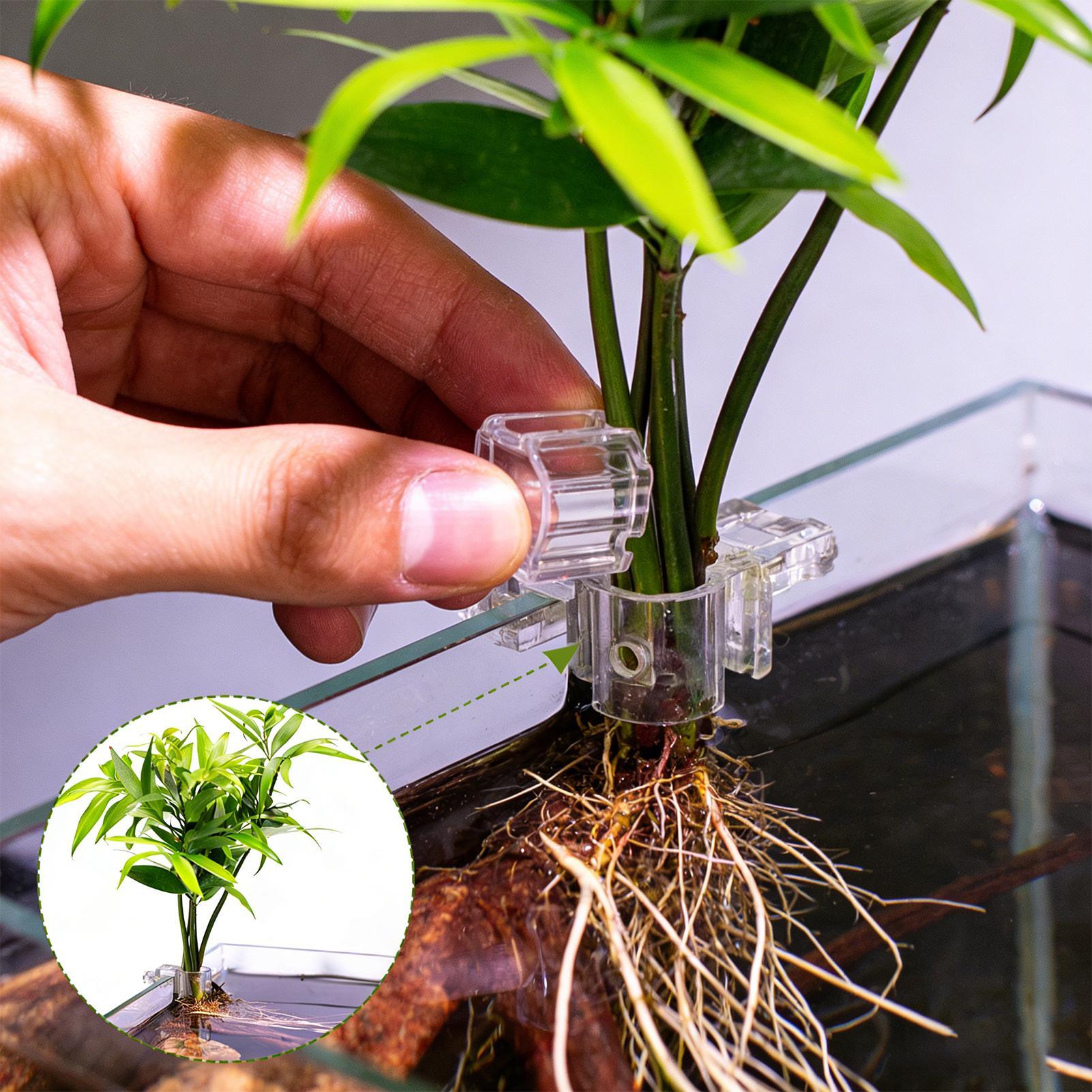 6pcs Aquarium Plant Holders Cl - Aquarium Plants Live recension och pris